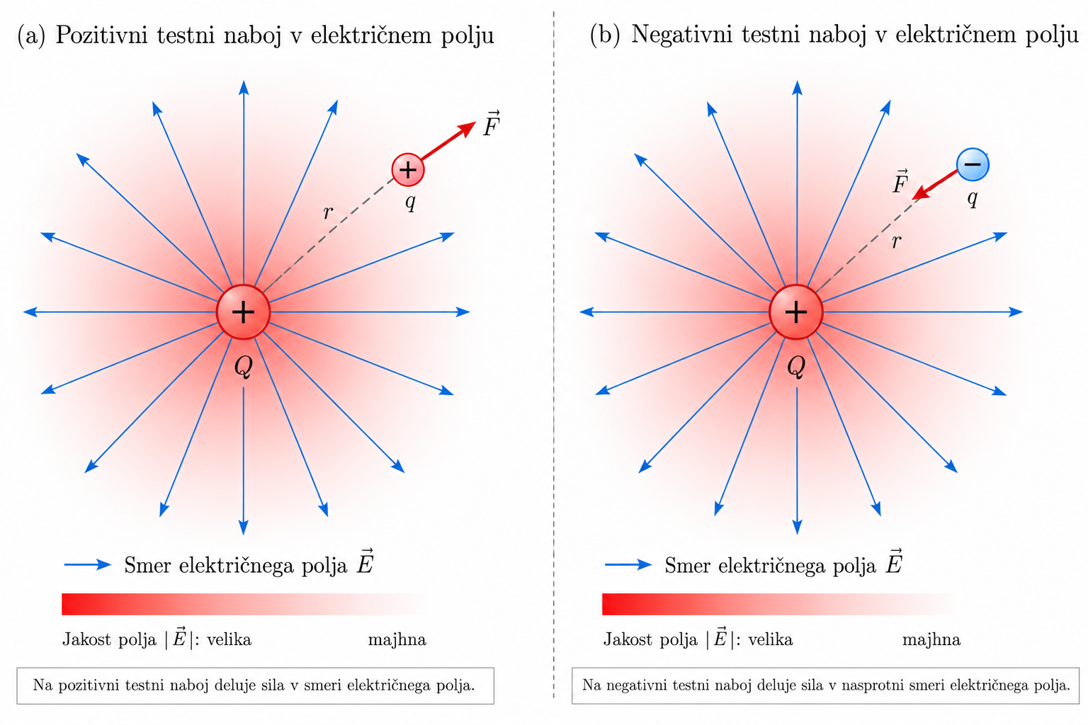 Smer sile na pozitivni in negativni preizkusni naboj v električnem polju pozitivnega točkovnega naboja.