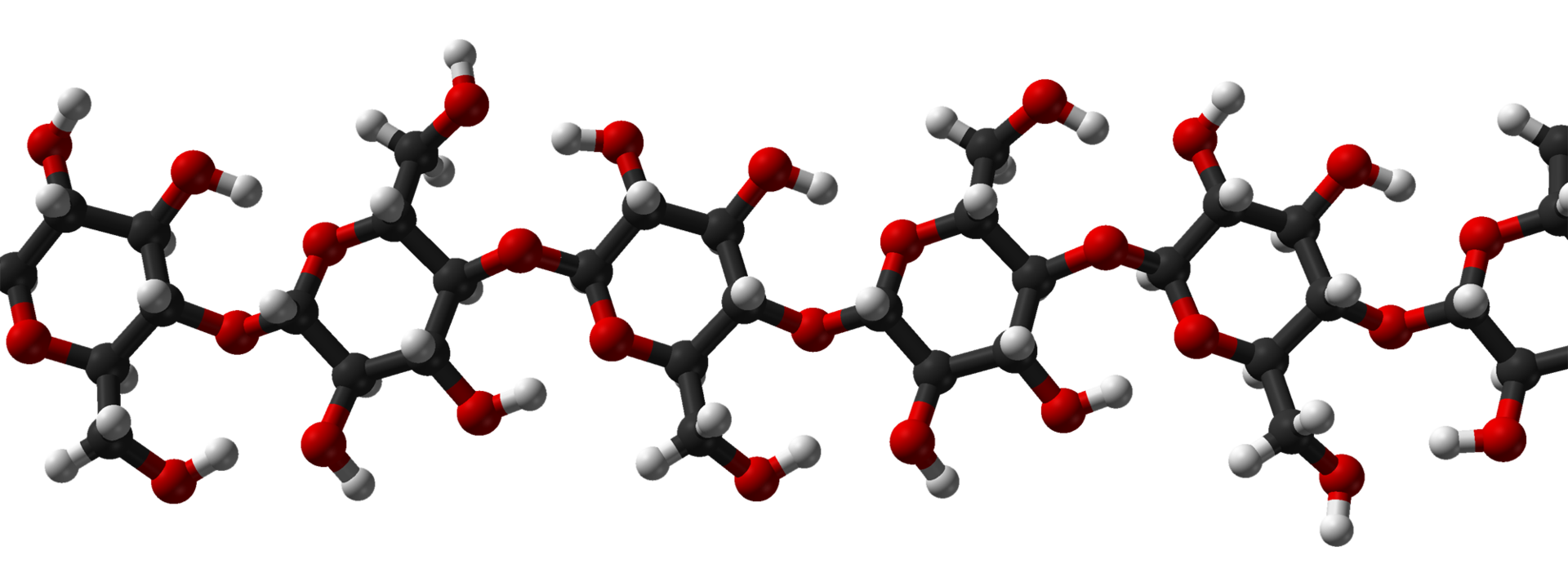 Molekula celuloze1.