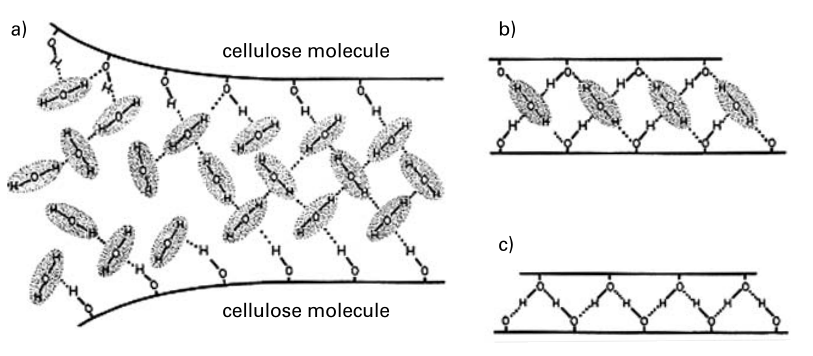 Vodikova vez med dvema molekulama celuloze.