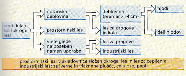 Predelava hlodovine